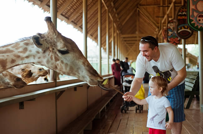 Family at the zoo with a giraffe