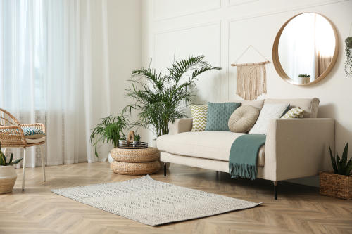 Stylish living room interior with beautiful house plants